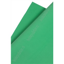 Фоамиран 1 мм, Китай 49*49 см (10 листов) SF-3431, зеленый №09