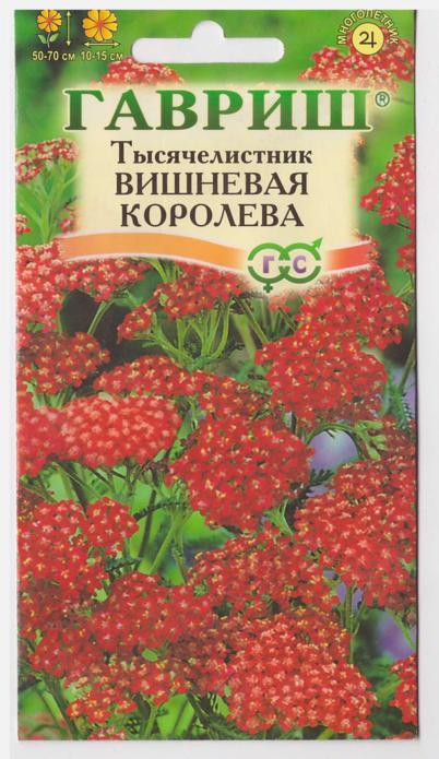 Вишневая королева. Тысячелистник Вишневая Королева Гавриш. Гавриш тысячелистник Вишневая Королева* 0,1 г. Тысячелистник обыкновенный Вишневая Королева. Семена Гавриш тысячелистник Вишневая Королева 0,1 г.