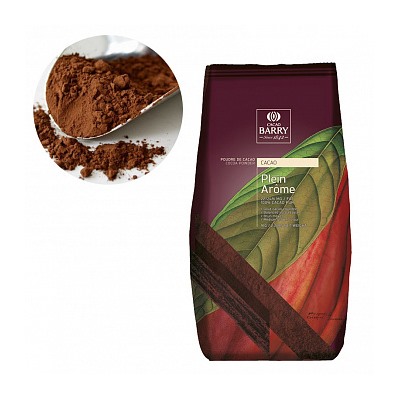 Какао порошок Cacao Barry Plein Arome 22/24%, 1 кг (DCP-22PLARO-89B)