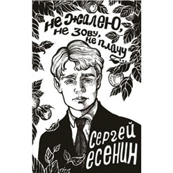 ПоэзияПодЗеленойЛампой Есенин С.А. Не жалею, не зову, не плачу..., (АСТ, 2023), Инт, c.256