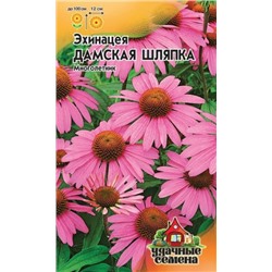 Эхинацея Дамская шляпка (Код: 86204)