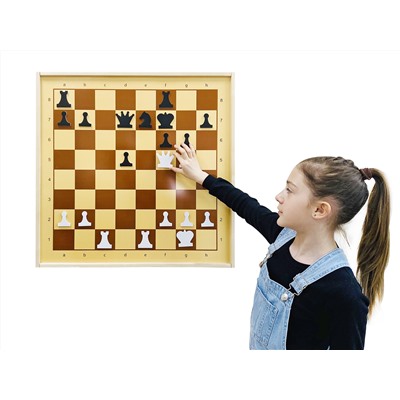 Демонстрационные шахматы магнитные
