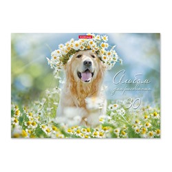 ErichKrause® Альбом для рисования на клею "Самые добрые собаки" 30 листов арт.49837