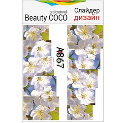Beauty COCO, Слайдер-дизайн A-867