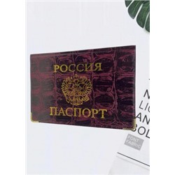 Обложка для паспорта #21062328
