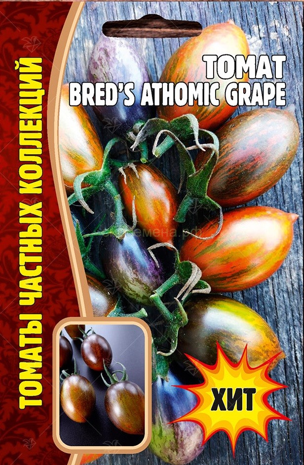 Атомный виноград бреда томат описание отзывы фото. Томат атомный виноград бреда семена. Атомный виноград Брэда Гейтса томат. Семена томат атомный виноград Брэда. Томат Brad's Atomic grape.
