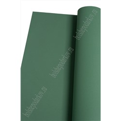 Фоамиран 1 мм, иранский 60*70 см (10 листов) зелено-морской №120