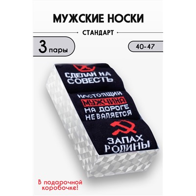 Носки Родина мужские