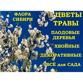СП Декоративные, плодовые растения, цветы,травы и товары для сада-Красноярск.Выкуп 2-Сбор.