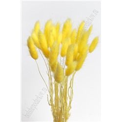 Сухоцветы "Лагурус" SF-4322, желтый