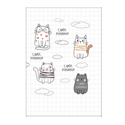 Пакет бумажный подарочный L "С Днем рождения. Четыре котенка" белый в клетку 23x11x33 см (004)