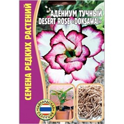 Адениум Desert Rose Doksawai - Десерт Роз Доксавай (Редкие)