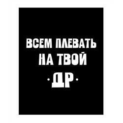 Пакет бумажный Прикол "Всем плевать на твой ДР" 26x12x32 см (038)