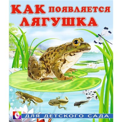 Кн. Как появляется... И.Гурина Как появляется лягушка 16 цв.стр. 16*20см  29234