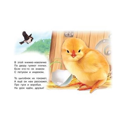 Кн. Знакомимся с животными.  Домашние птицы 16 цветн.стр. 21,3*14,2см  27711