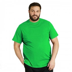 Футболка мужская, большого размера, зеленого цвета
