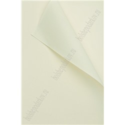 Фоамиран текстурный 60*60 см (20 листов) SF-7348, айвори №243