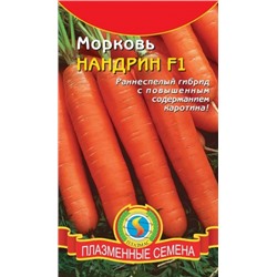 Морковь Нандрин F1 (Плазма) 120шт