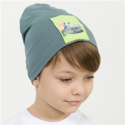 BFQZ3265 шапка для мальчиков (1 шт в кор.)