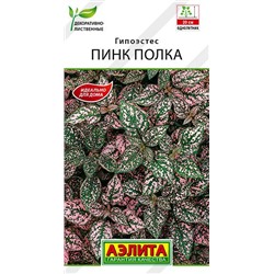 Гипоэстес Пинк Полка (Код: 89528)