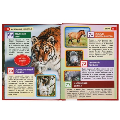 Энциклопедия с развивающими заданиями «Исчезающие животные» из серии «100 фактов»