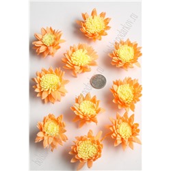 Головки цветов "Хризантема" двухцветная 4,5 см (30 шт) SF-2294, персиковый