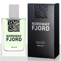 NORDWAY FJORD 100 ml/муж M~