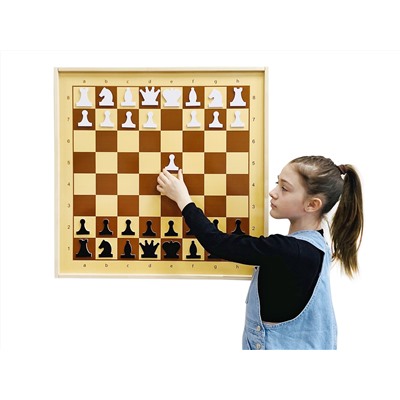 Демонстрационные шахматы магнитные