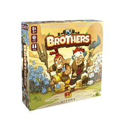 Наст.игра "Братья" Brothers арт.17015f (Фабрика игр)