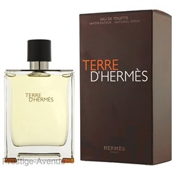 Hermes - Туалетная вода Terre d'Hermes 100 мл