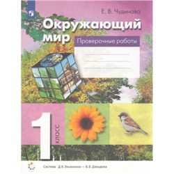 ФГОС Чудинова Е.В. Проверочные работы по окружающему миру 1кл (сист.Эльконина-Давыдова), (Просвещение, 2022), Обл, c.48