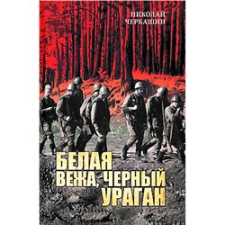 ВСводкахНеСообщалось Черкашин Н.А. Белая вежа, черный ураган, (Вече, 2024), 7Б, c.352