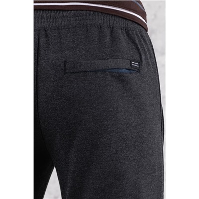 брюки спортивные 
            5.96010-серый