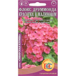 Цветы Флокс Друммонда Красотка в малиновом (0,1г) Дем Сиб (мин.5шт.)