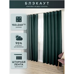 Шторы БлэкаутАрт 0025