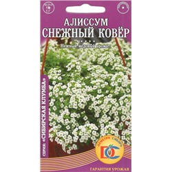 Цветы Алиссум Снежный ковер Белый (0,05г) Дем Сиб (мин.10шт.)