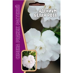 Адениум Белая роза (Редкие)