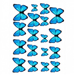 Бабочки №6, картинка на вафельной бумаге 20*30 см