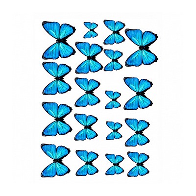 Бабочки №6, картинка на сахарной бумаге 20*30 см