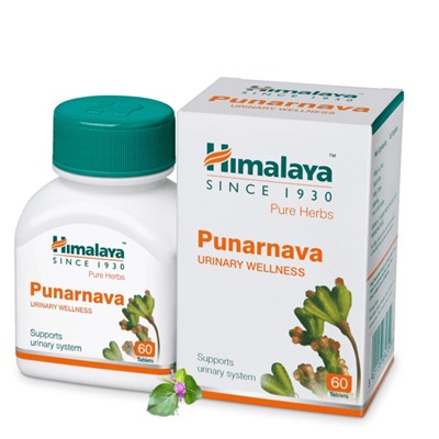 PUNARNAVA Urinary Wellness Himalaya (ПУНАРНАВА, Лечение мочеполовой системы, Хималая), 60 таб.