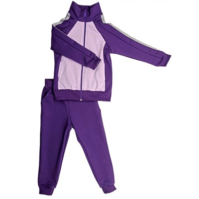 Спортивный костюм (0204/3) фиолетовый