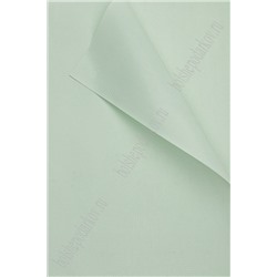 Фоамиран текстурный 60*60 см (20 листов) SF-7348, светло-аквамариновый №85