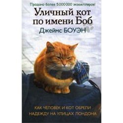 Уличный кот по имени Боб. Как человек и кот обрели надежду на улицах Лондона