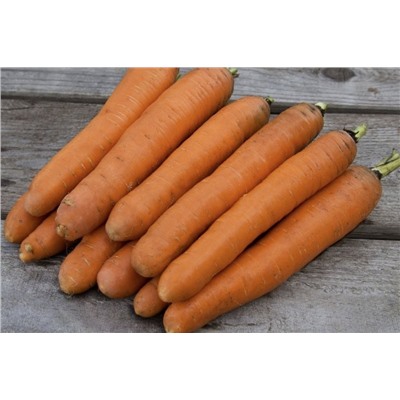Морковь Берликум рояль