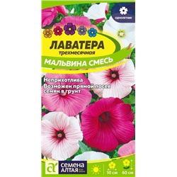 Цветы Лаватера Мальвина смесь (0,2г) Сем Алт (мин.5шт.)