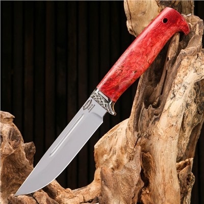 Нож охотничий "Сокол-2" сталь - 95х18, рукоять - стабилизированная корельская береза