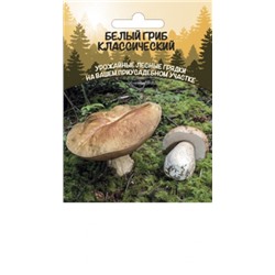Грибы Белый гриб Классический (ССПК) (УД) 30мл
