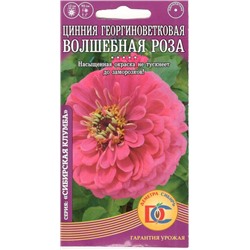 Цветы Цинния Волшебная роза георгиноцветковая (0,2г) Дем Сиб (мин.10шт.)