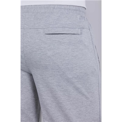 брюки спортивные 
            3.MMT003A-серый-светлый
