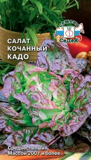 Салат салатная чаша седек